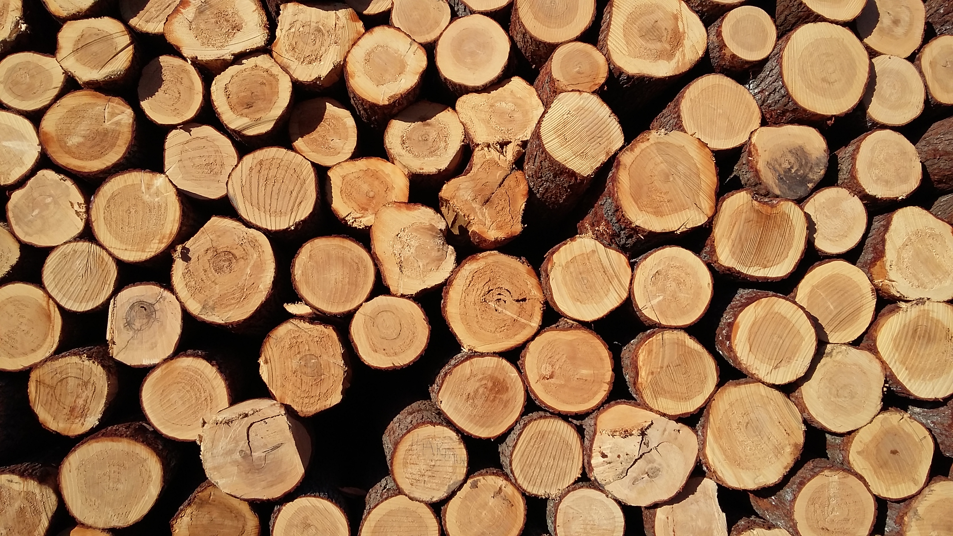 Sawmill Parker Lumber Company United States