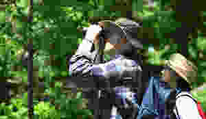 zbosashrjikner_2.jpeg