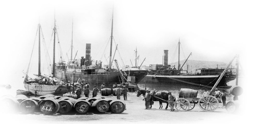 home-gerania.jpg