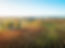 Picardy Landscape Photo.JPG