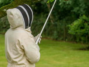Verdelging van wespen en hoornaars: hoe Think Safe te werk gaat