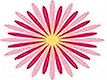 logo-6bf8b96ac730432199bec86709023a5b7b01f103AHS_Logo_NEW_2024sized_edited.jpg