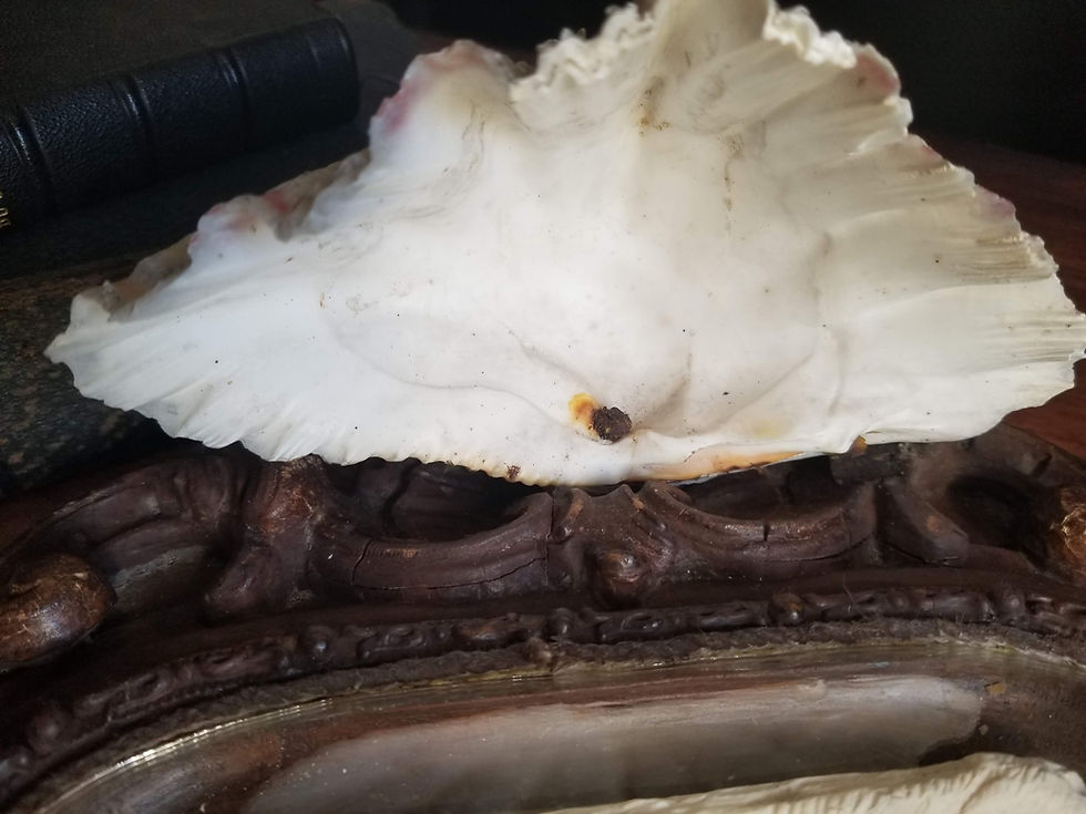 Miniature : Large Antique framed meerschaum of Nativity scene eye of God providence all seeing Holy water font shell