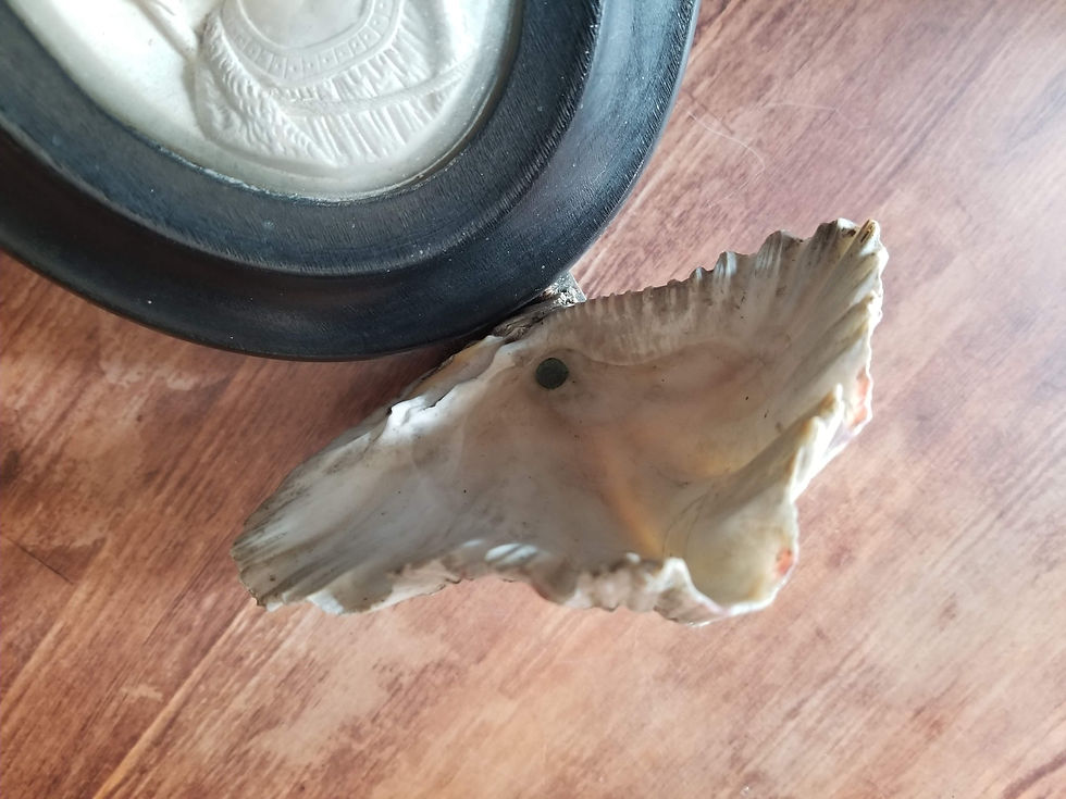 Miniature : French antique St John meerschaum in Napoleon III wood frame with convex glass and shell font