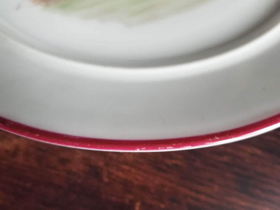 Thumbnail: Rare antique porcelain decorative plate dog cooking and drinking 19th century