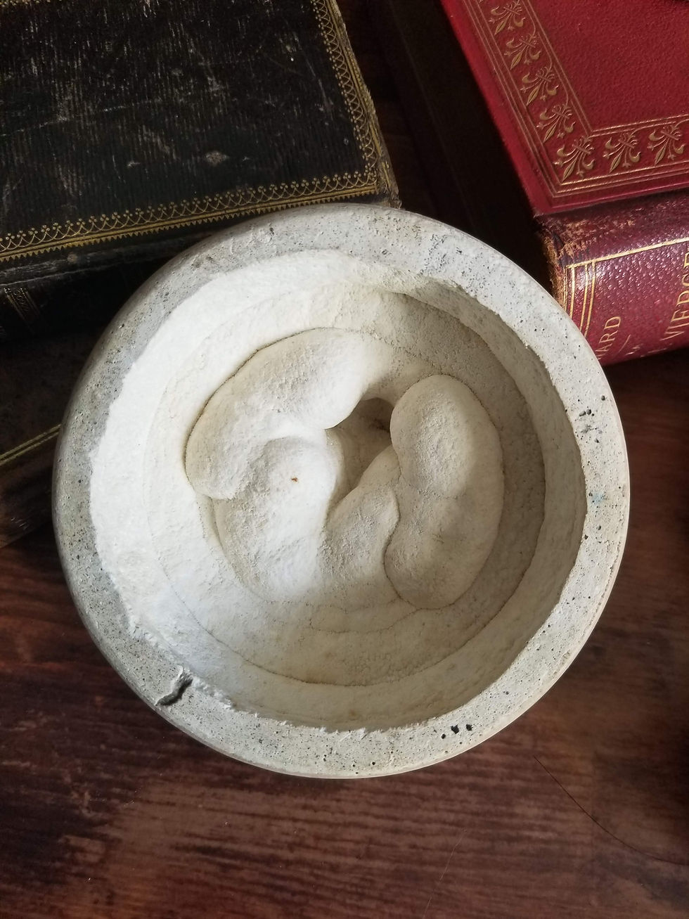 Miniature : Portrait de Jésus-Christ en relief signé Mattei, calcaire pétrifié