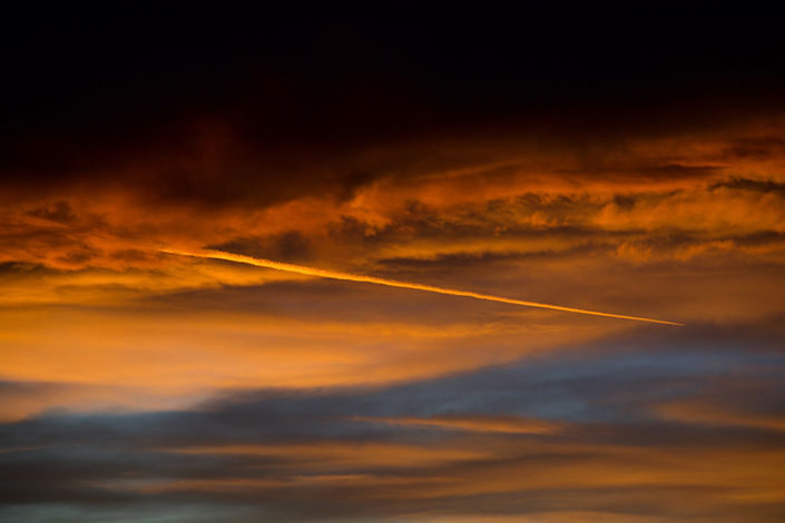 Ayrton kaleo wildlife photography