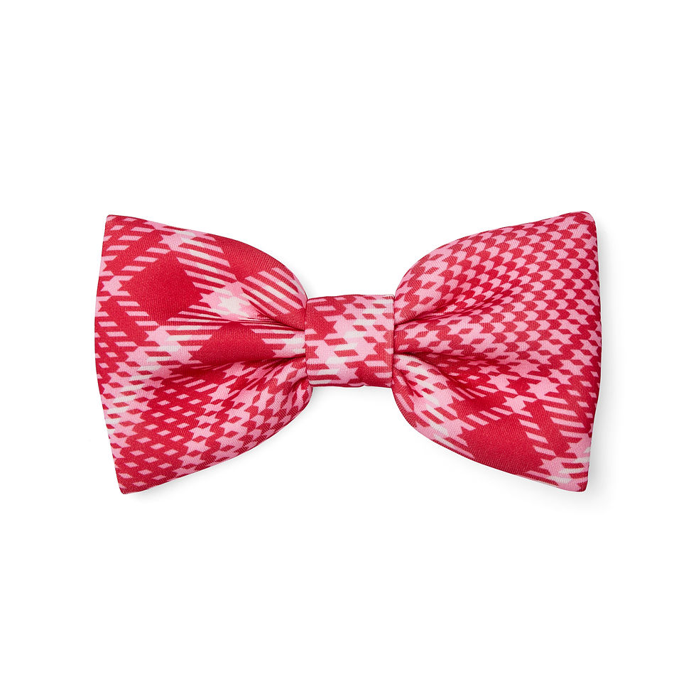 A Dee-Red Leighton Hair Bow