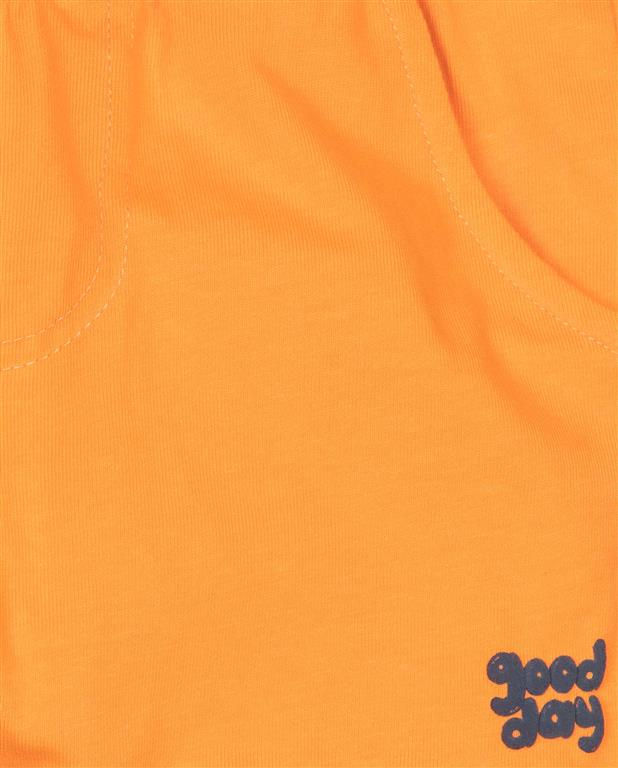 Thumbnail: Losan - Orange Shorts