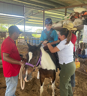 WhatsApp Image 2025-08-19 at 10.21.01_6db230f1.jpg