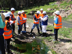MONITOREOS AMBIENTALES