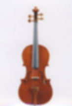 Professional violin, Cremona 2009