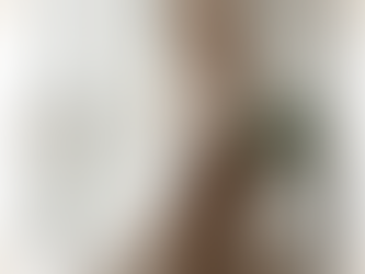 Why Every Fashion Brand Should Understand Colour Analysis