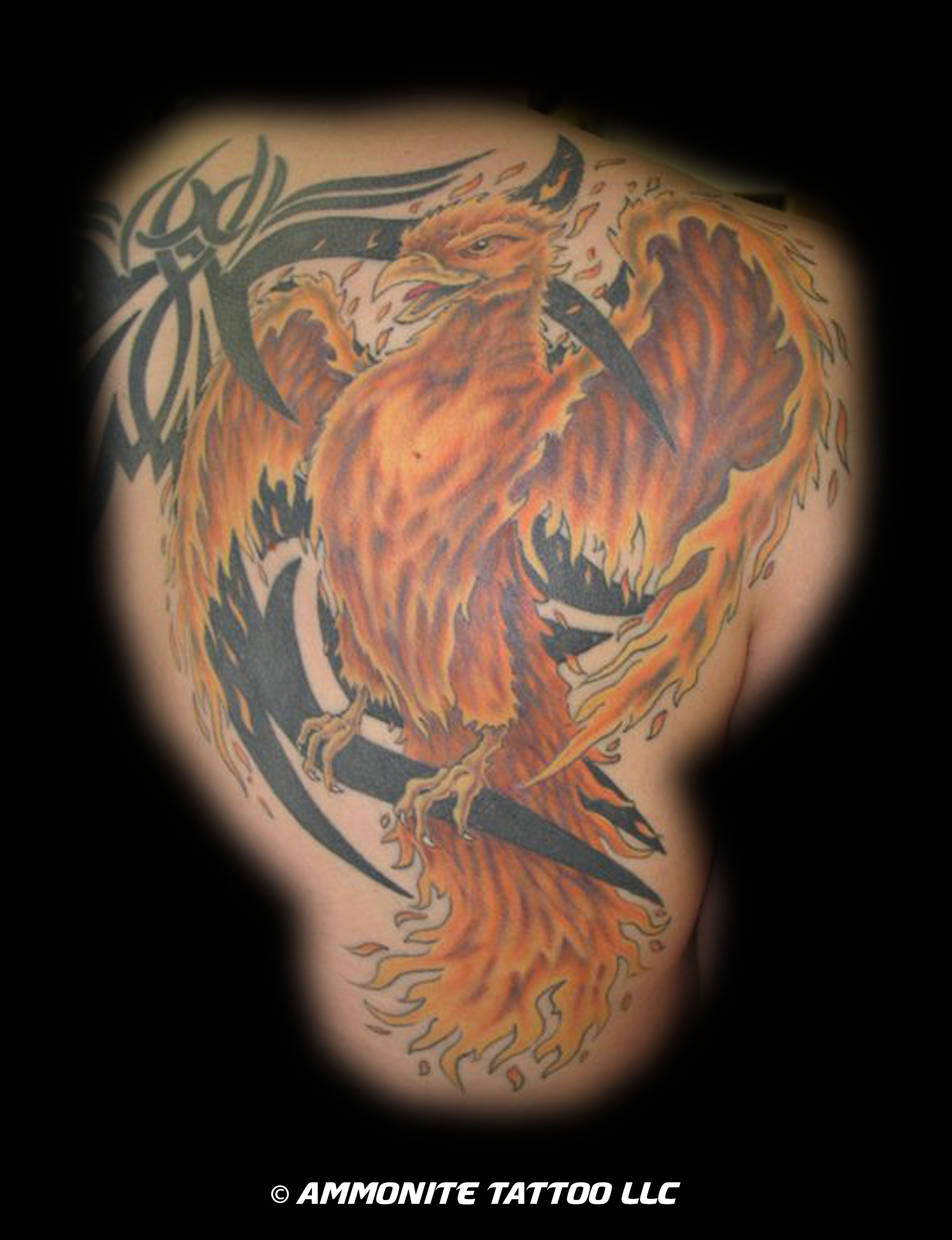 w-C-PhoenixTribal