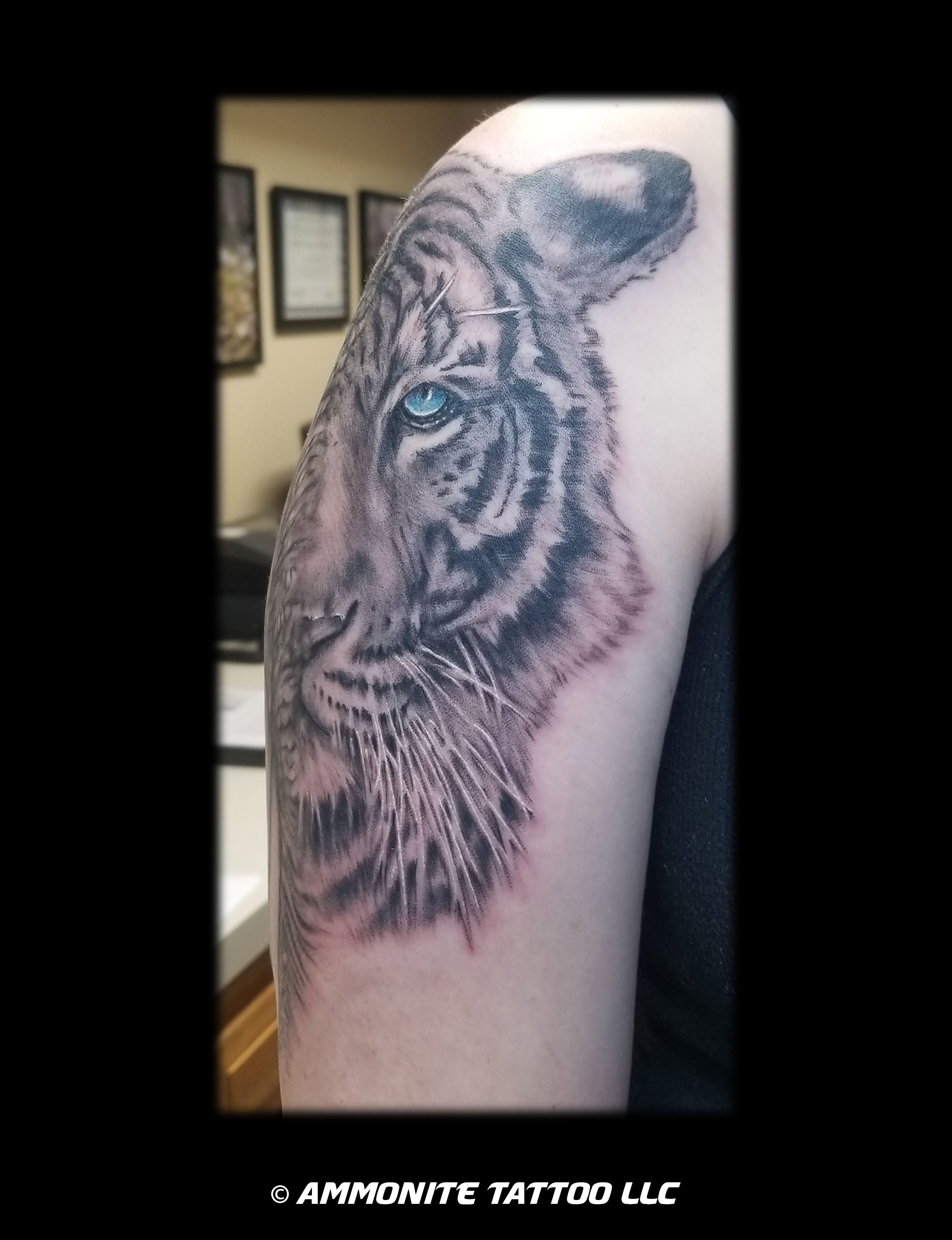 W-B-elephtiger2