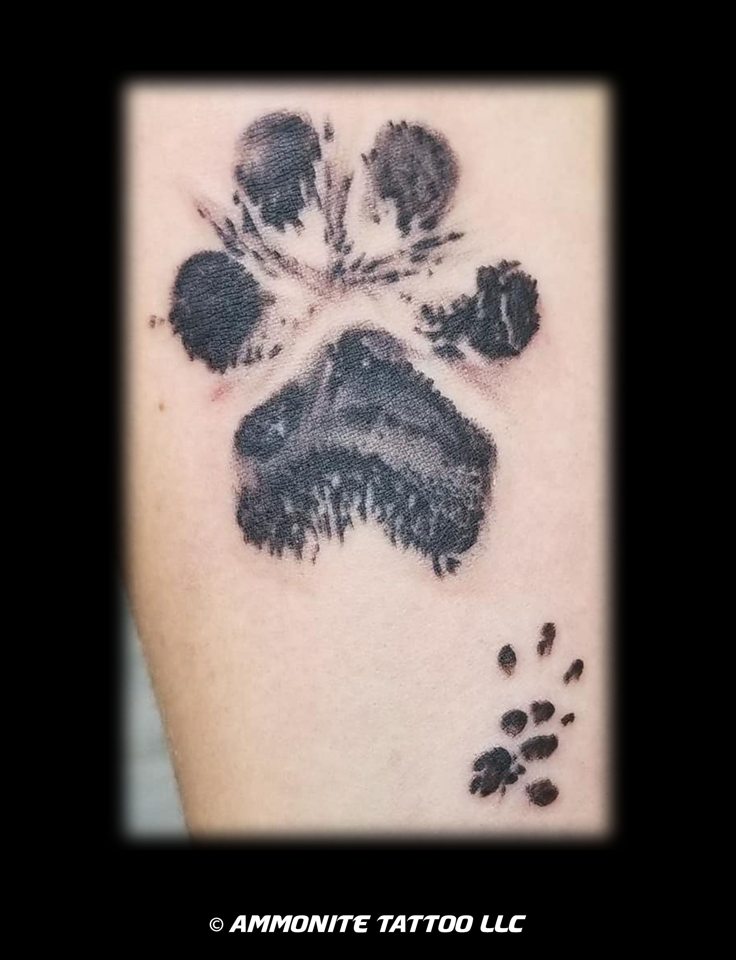 w-B-LizPaws