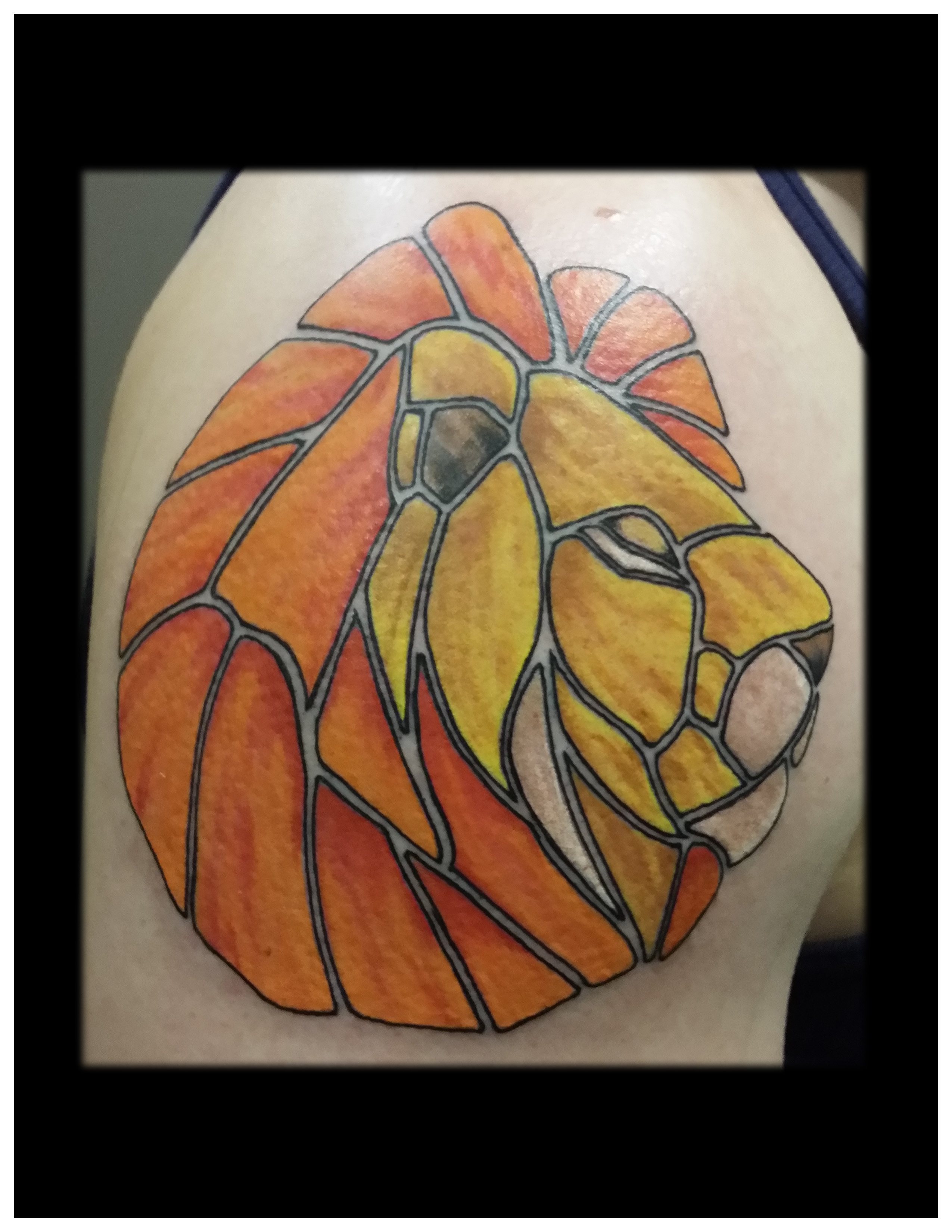 1c-stainlion