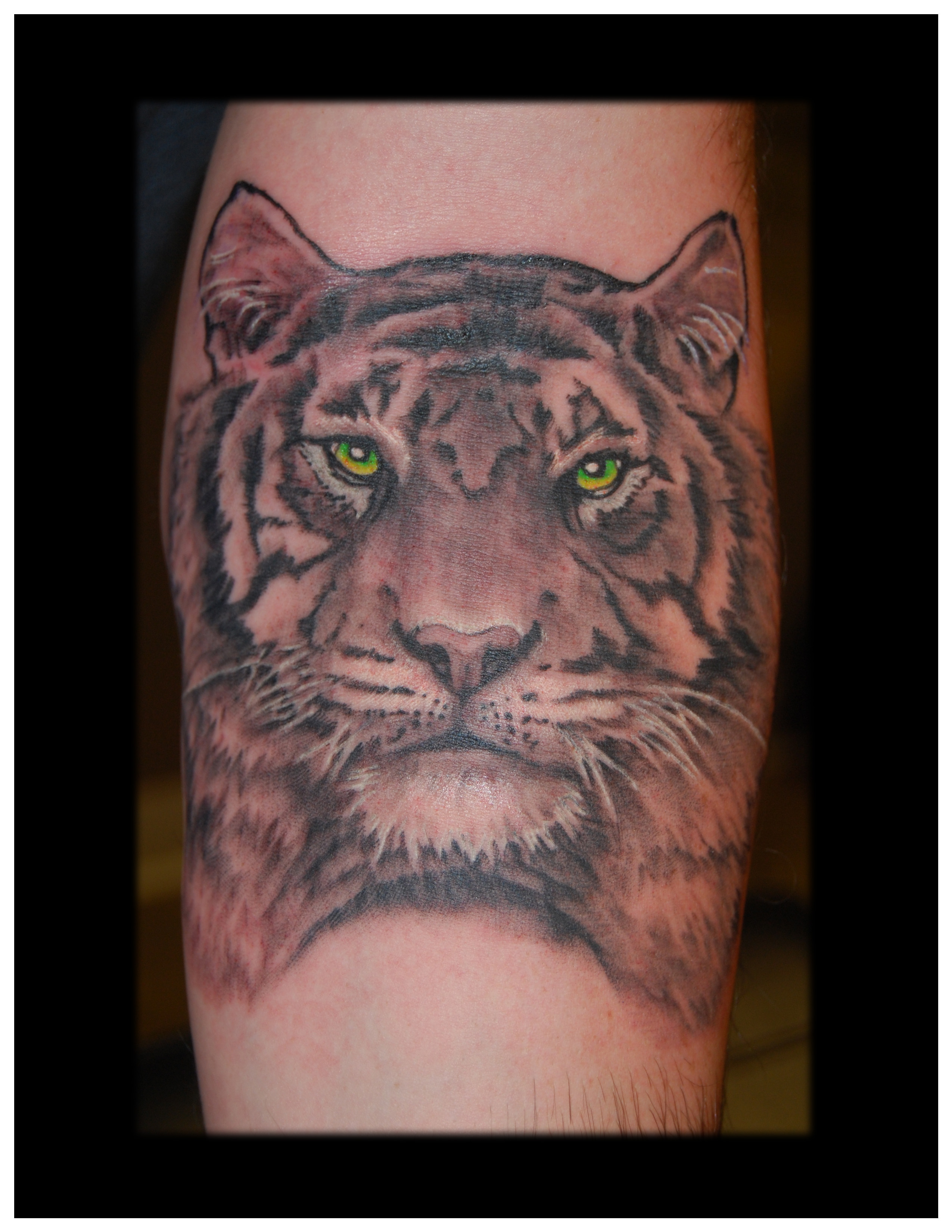g-tiger