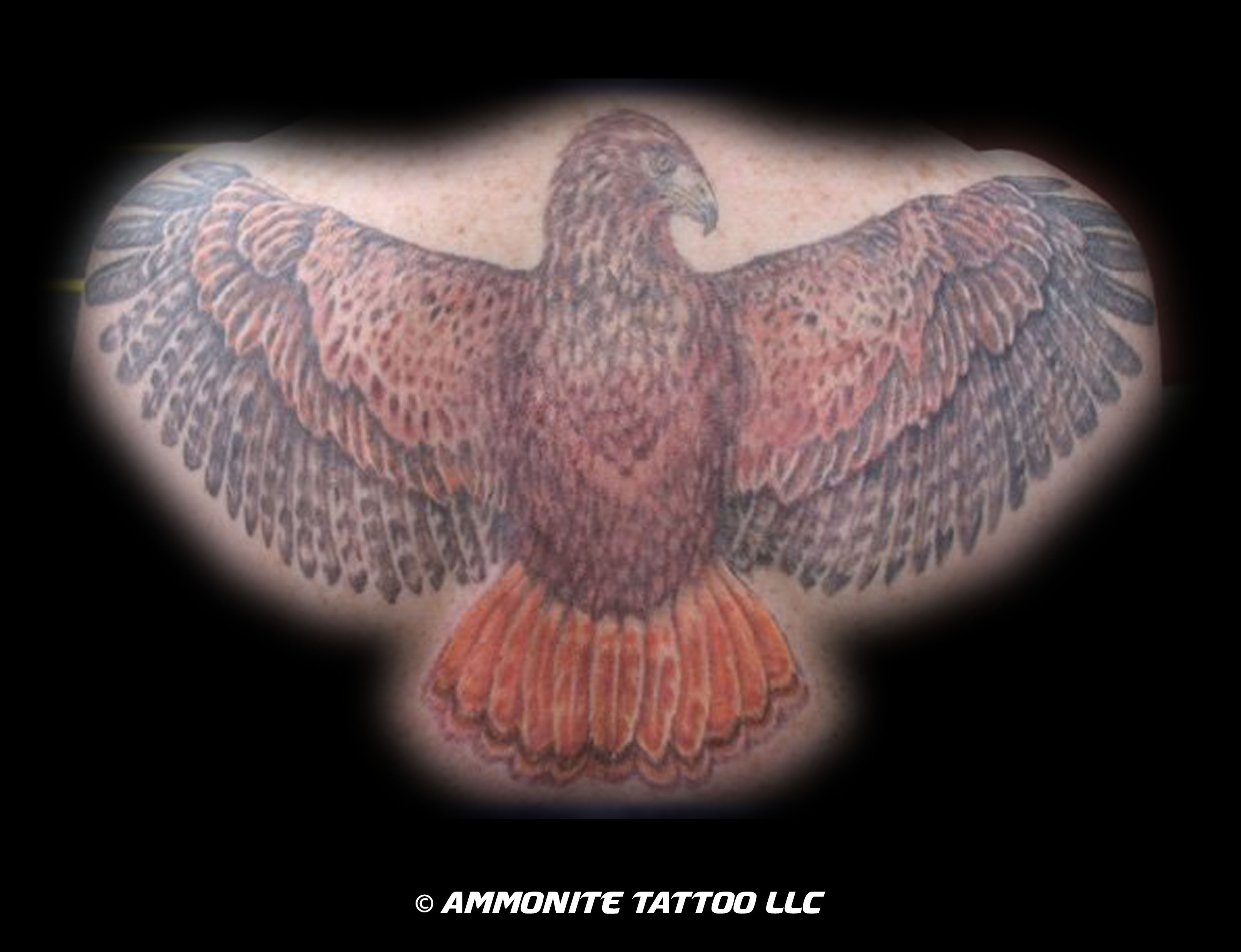 w-C-RedTail