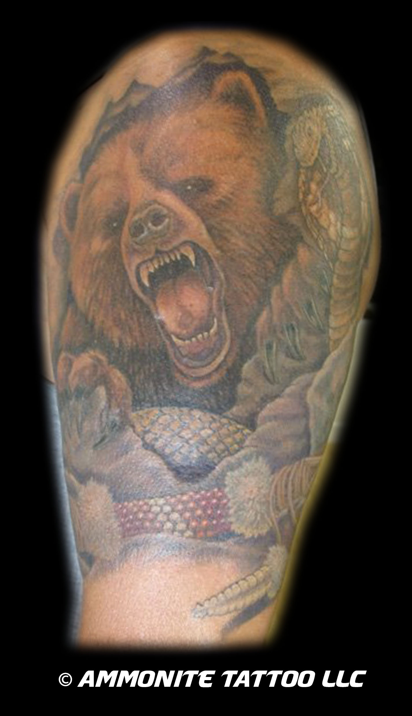 w-c-Bear