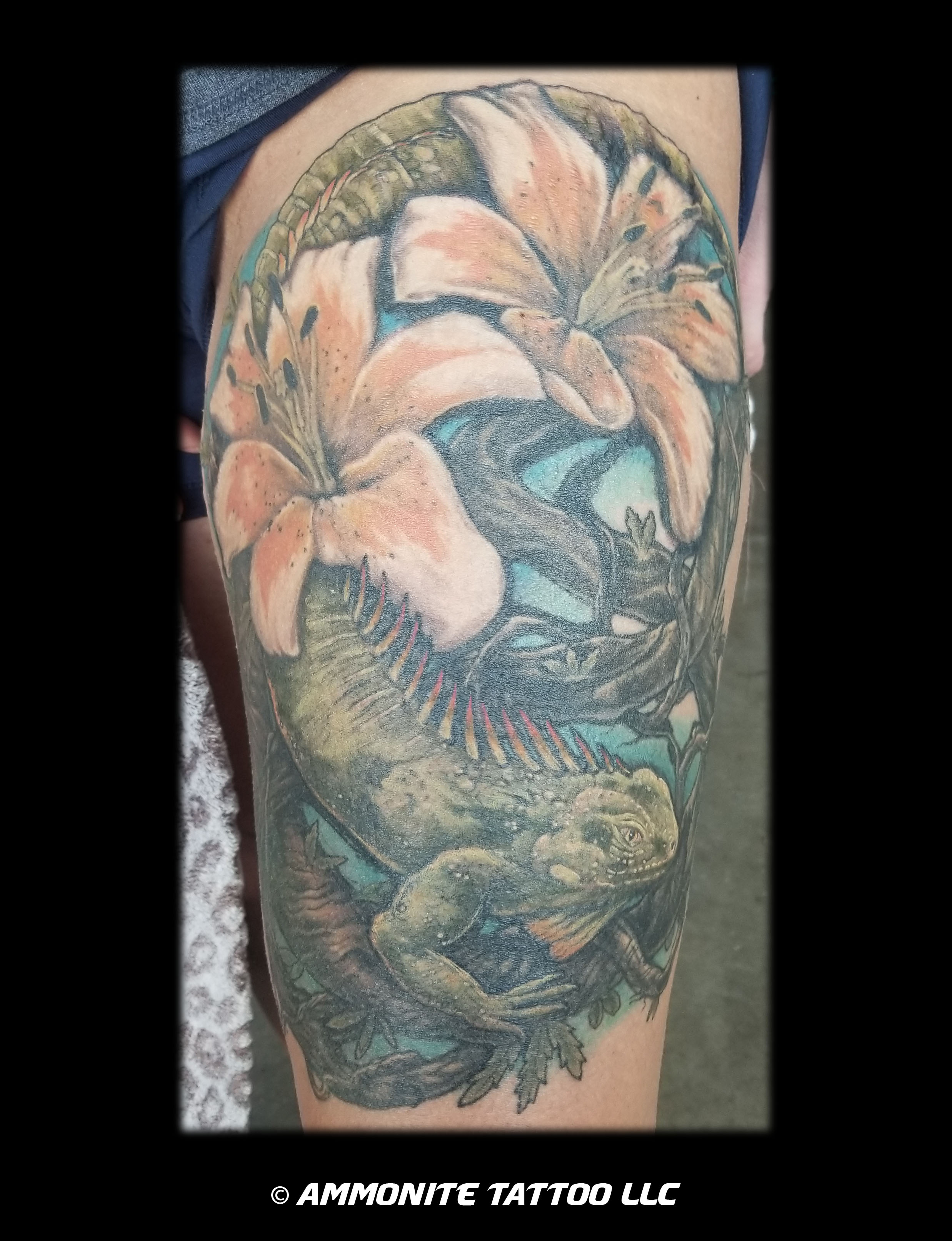 w-C-iguana