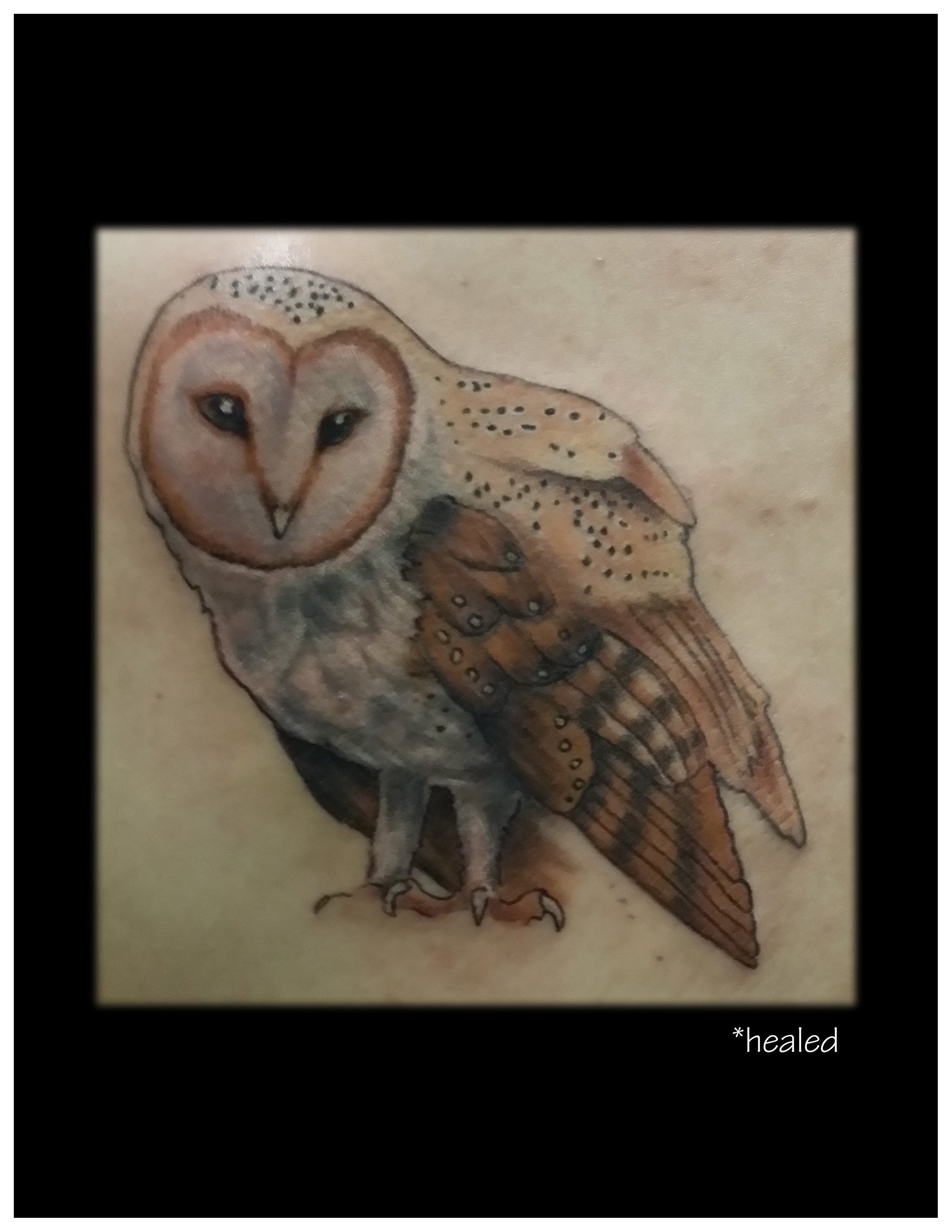 1c-oowl_edited-1