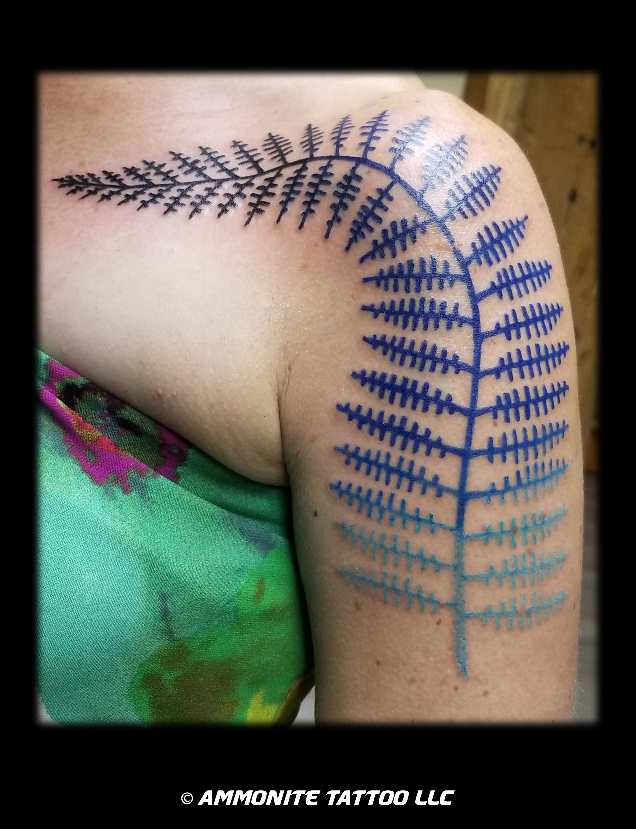 w-C-fern