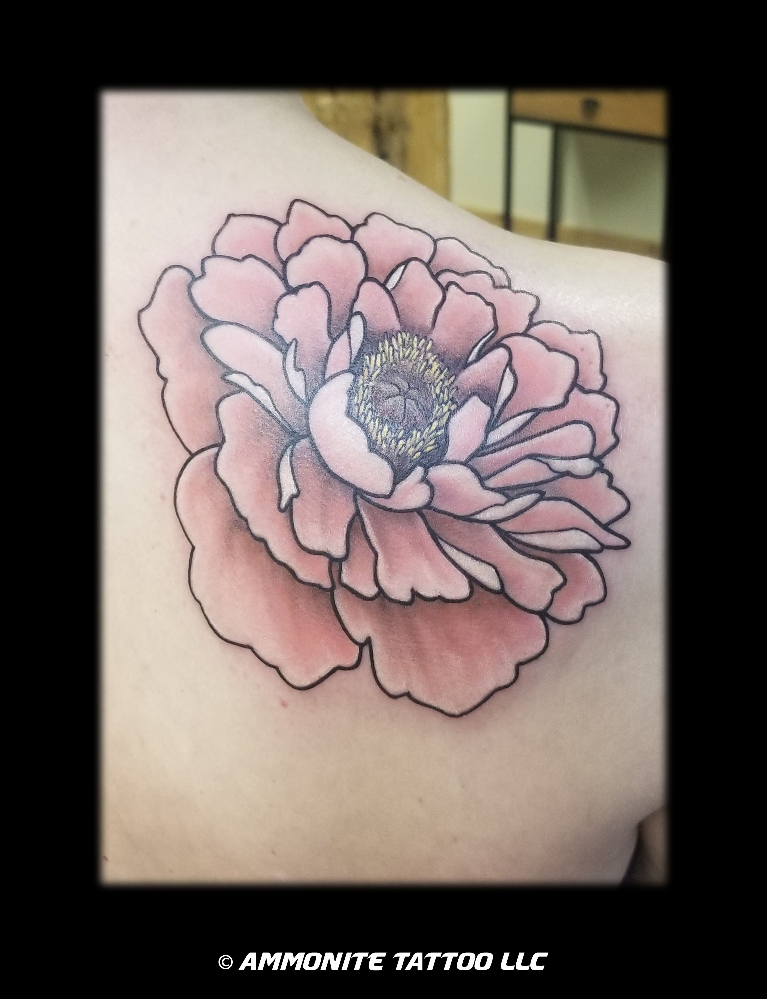 W-C-peony