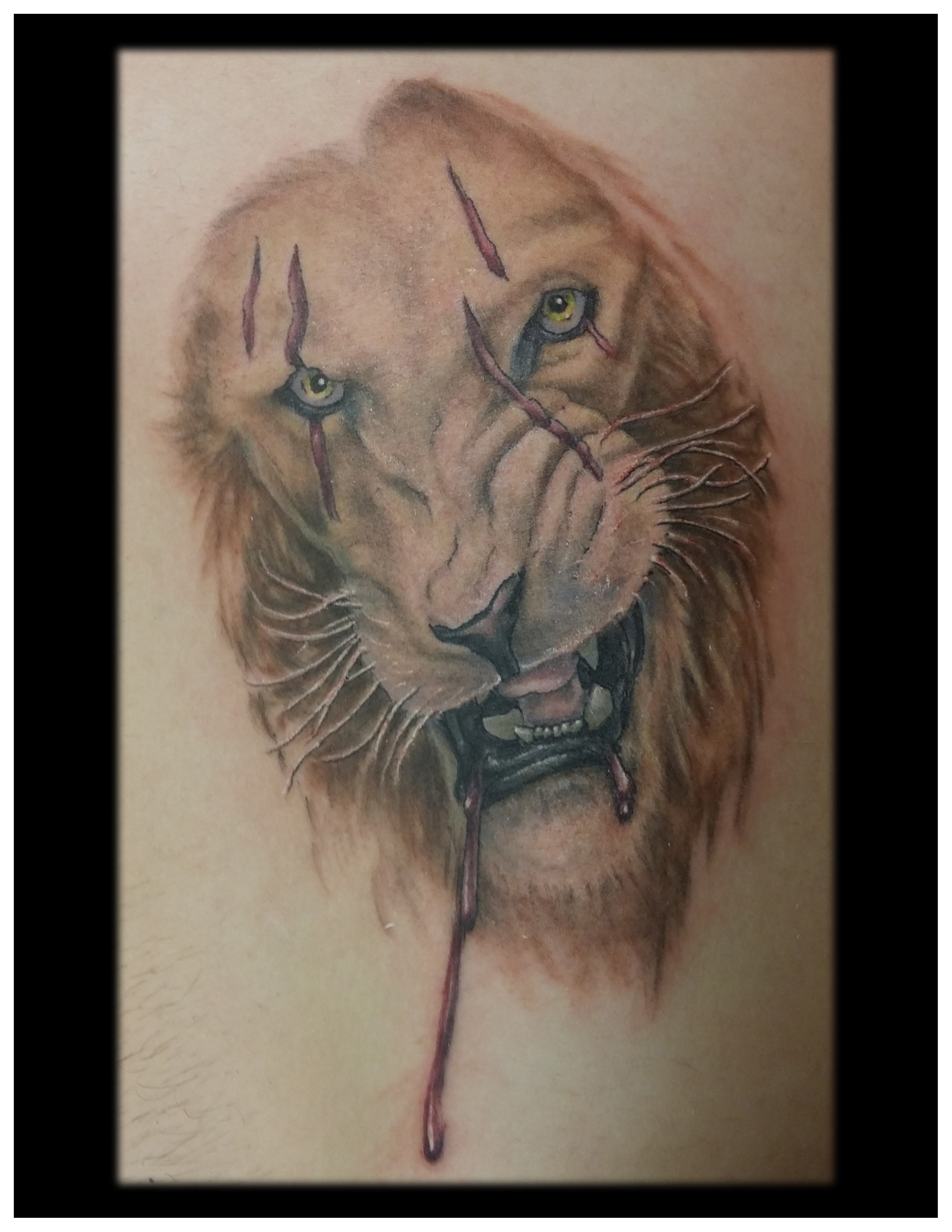 1c-lionscar