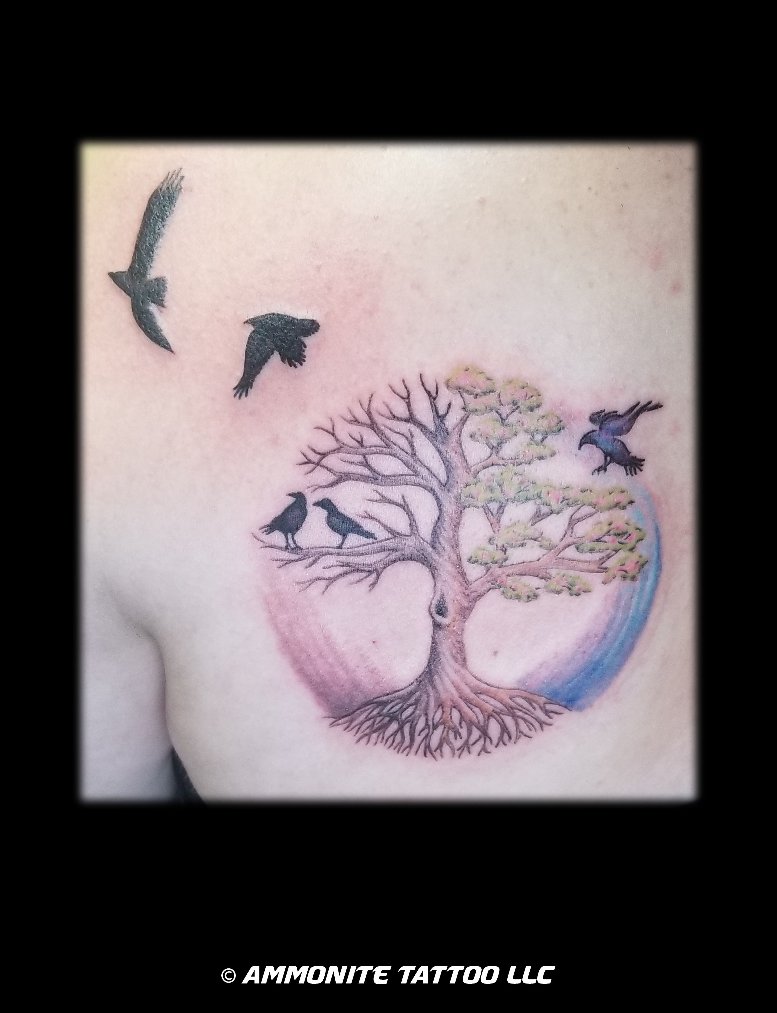 W-C-Crow tree