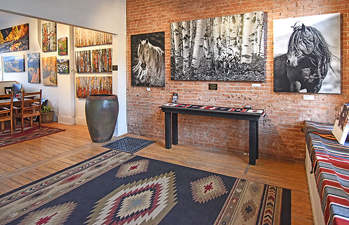 Art gallery view and artist studio