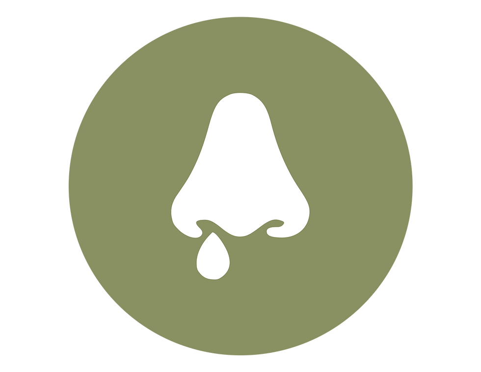Kapha, mucus et congestion, Les troubles liés à Kapha en Ayurveda, Pranamaya Yoga Ayurveda à Lyon, cours de yoga et ayurveda