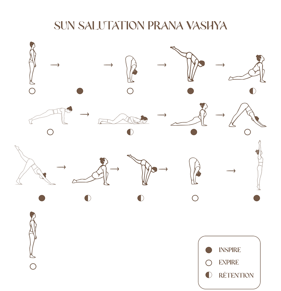 Sun Salutation Prana Vashya à Lyon

