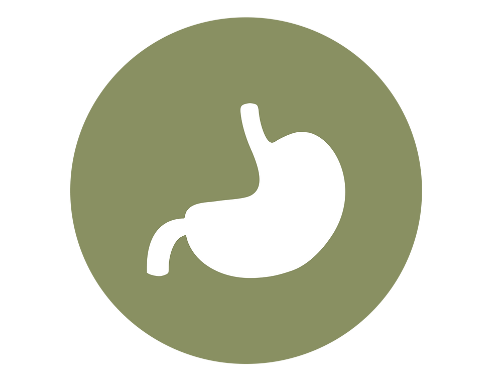 Kapha et la digestion lente, Les troubles liés à Kapha en Ayurveda, Pranamaya Yoga Ayurveda à Lyon, cours de yoga et ayurveda
