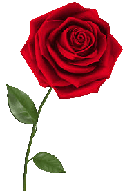 ROSELEFT.gif