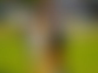 PETROVSKI POWER SURGE TO PROMINENCE ⚽️