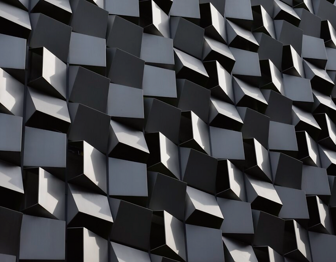 sfwp quarterly issue picture.png