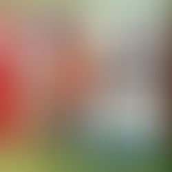 Mª Trinidad Amela Guillamón: Una història de passió i dedicació del torn d'ofici