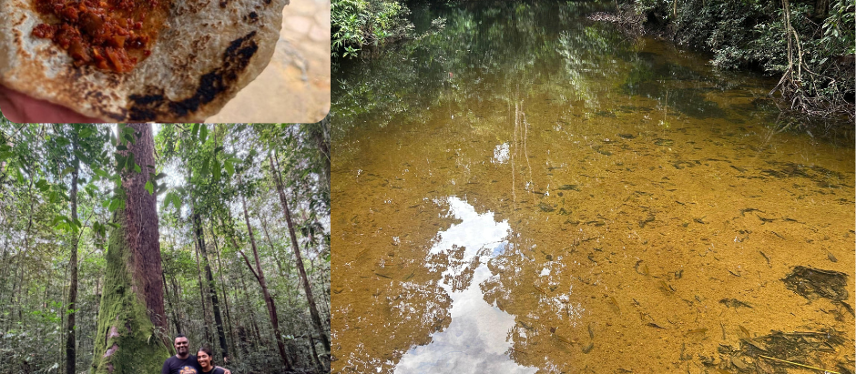 We Trekked Kanneliya Rainforest: Here's What You Need To Know