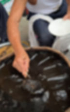 chinese grass jelly