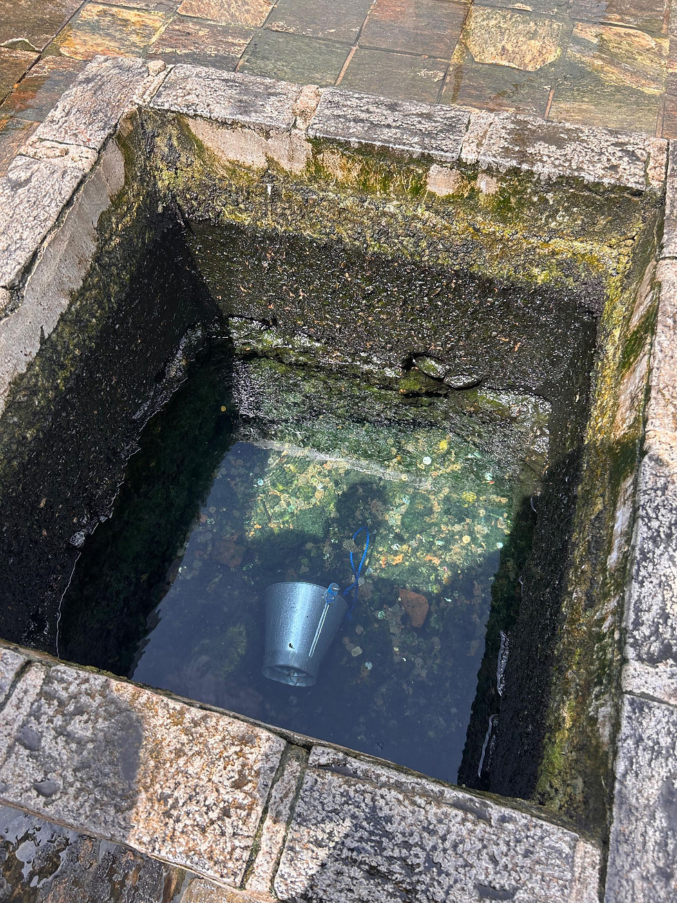 kanniya hot water springs trincomalee