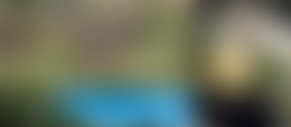 10 Days in Sri Lanka - Best Places to Travel for First-time Travellers