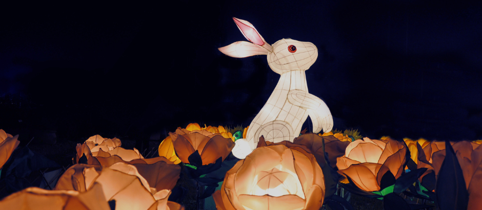 Mid-Autumn Festival 2025 - Chinese Moon Appreciation Day