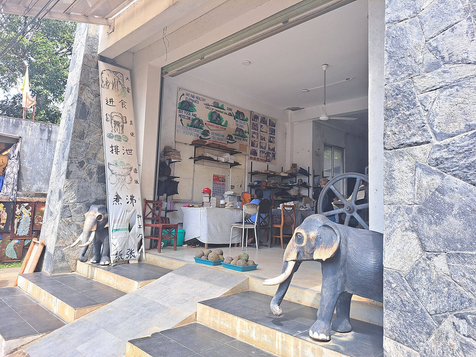 pinnawala elephants sri lanka