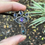 Thumbnail: Eye of Truth - Amethyst, Topaz & Iolite in Sterling Silver