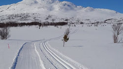 Oversikt over oppkjørte skispor