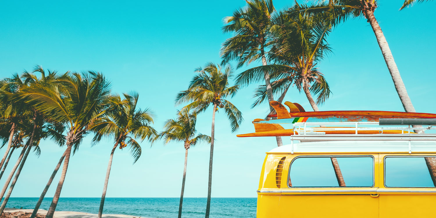 千葉県 海をテーマにした海雑貨の専門店 Seashells