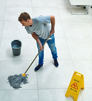 Professional cleaning service