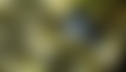 Big Soda's Boozy Ambitions: Stirring Up the Alcohol Industry