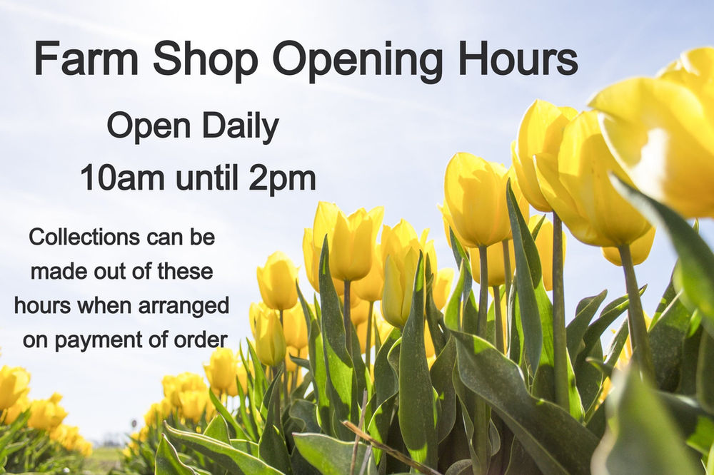 Farm Shop Opening Hours